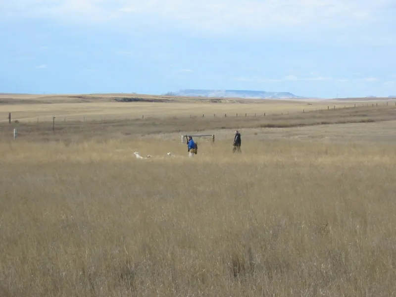 Pheasant hunt, November 2004