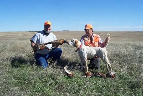 Pheasant hunt, October 2006