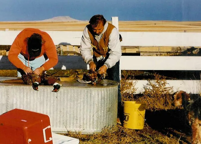 Cleaning birds after the hunt