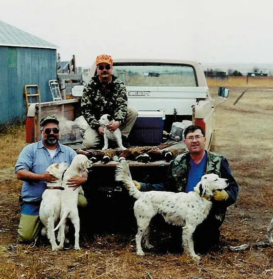 Bird dogs in the field