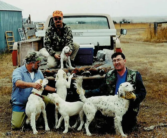 Puppies on the farm