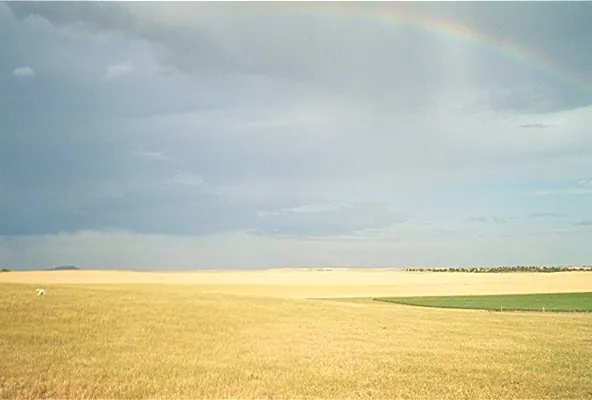 Rainbow over the prairie