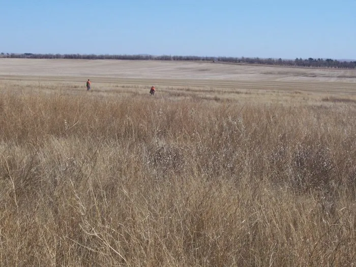 Hunting party H – 2005 wild pheasant hunt in North Dakota