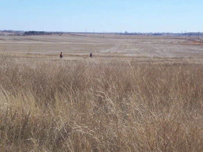 Hunting party H – 2005 wild pheasant hunt in North Dakota